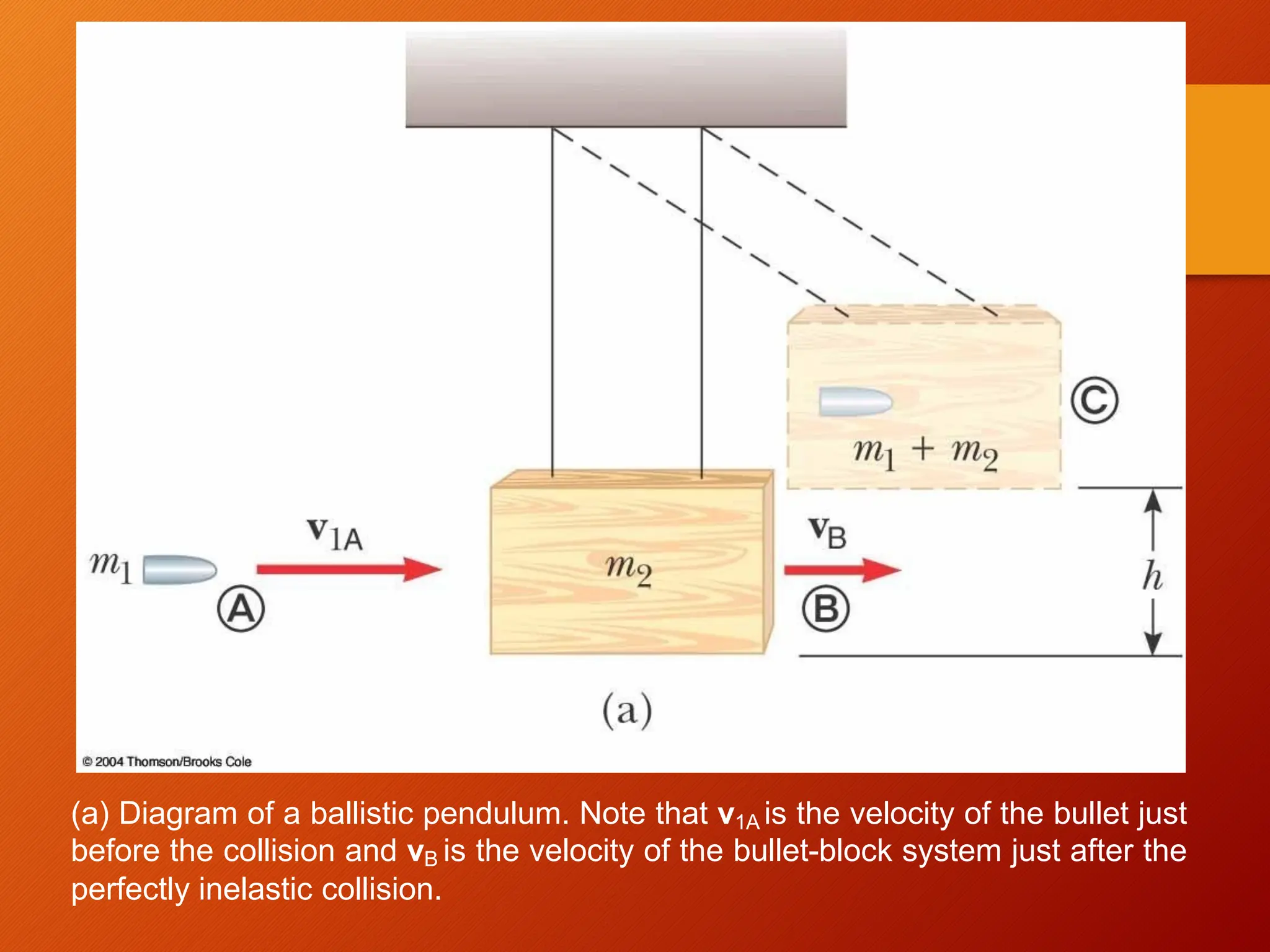 (a) Diagram of a ballistic pendulum. Note that v1A is the velocity of the bullet just
before the collision and vB is the velocity of the bullet-block system just after the
perfectly inelastic collision.
 