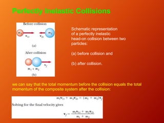 Schematic representation
of a perfectly inelastic
head-on collision between two
particles:
(a) before collision and
(b) after collision.
Perfectly Inelastic Collisions
we can say that the total momentum before the collision equals the total
momentum of the composite system after the collision:
 