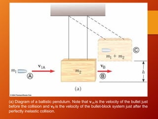 (a) Diagram of a ballistic pendulum. Note that v1A is the velocity of the bullet just
before the collision and vB is the velocity of the bullet-block system just after the
perfectly inelastic collision.
 