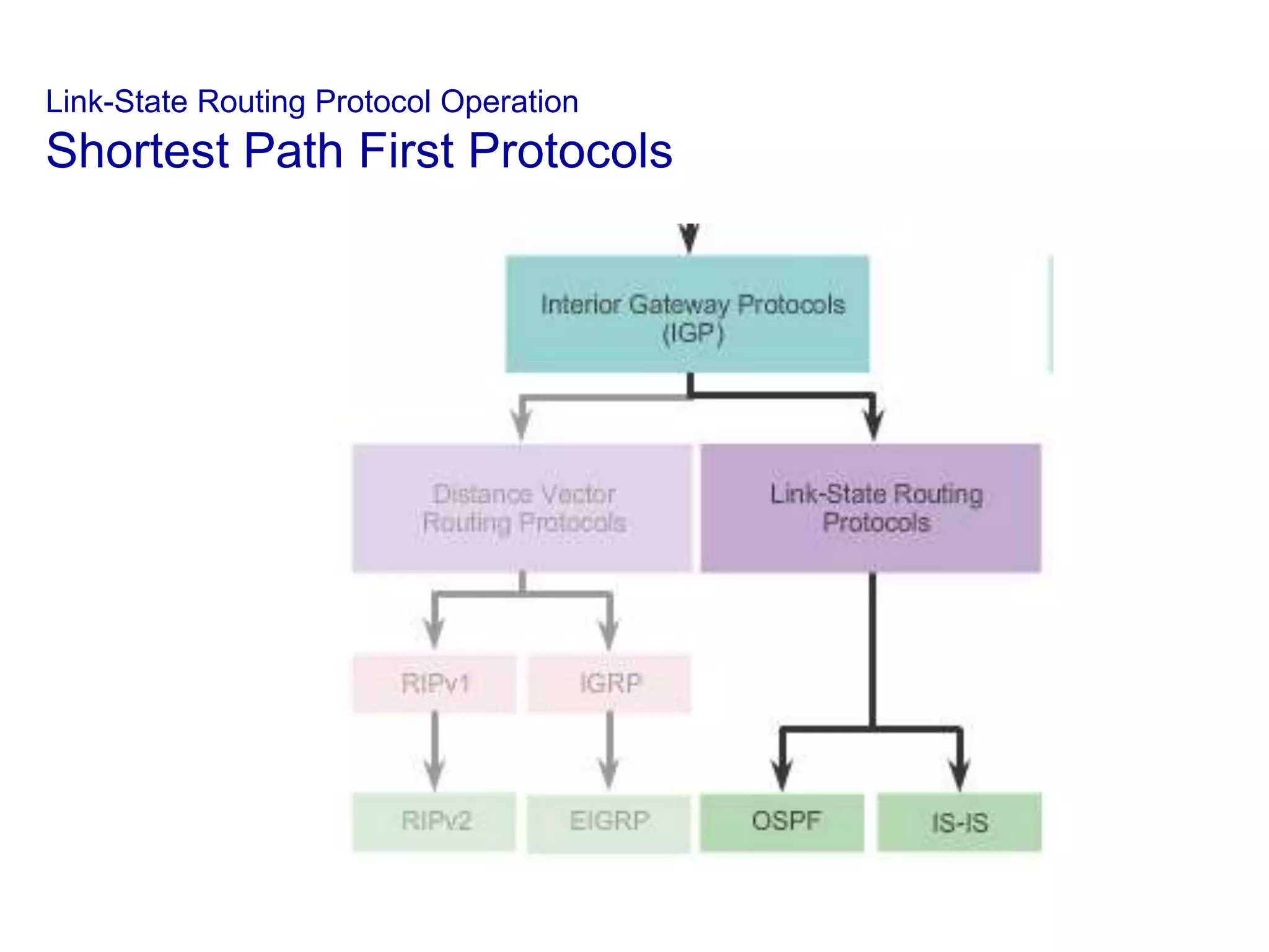 Link-State Routing Protocol Operation
Shortest Path First Protocols
 