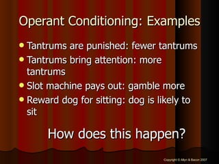 Operant Conditioning: Examples Tantrums are punished: fewer tantrums Tantrums bring attention: more tantrums Slot machine pays out: gamble more Reward dog for sitting: dog is likely to sit How does this happen? 