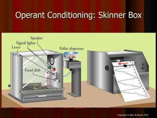 Operant Conditioning: Skinner Box 