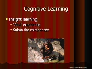 Cognitive Learning Insight learning “ Aha” experience Sultan the chimpanzee 