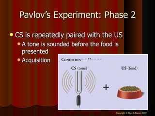 Pavlov’s Experiment: Phase 2 CS is repeatedly paired with the US A tone is sounded before the food is presented Acquisition 