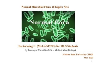 Bacteriology I (MeLS-M3293) for MLS Students
By Temesgen W/medhin (MSc – Medical Microbiology)
Wolaita Sodo University CHSM
Oct. 2023
Normal Microbial Flora (Chapter Six)
1
 