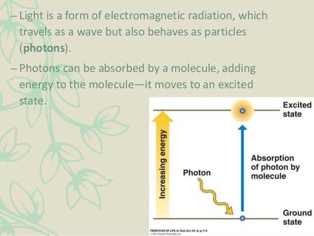 ap biology chapter 9 notes • read and study chapters 1 and 2 in the ap biology textbook (campbell biology 9th ed) complete the ap biology reading guide for chapter 2 provided use any available resources to develop notes as you: observe and describe isopods. ap biology chapter 9 notes • read and study chapters 1 and 2 in the ap biology textbook (campbell biology 9th ed) complete the ap biology reading guide for chapter 2 provided use any available resources to develop notes as you: observe and describe isopods.