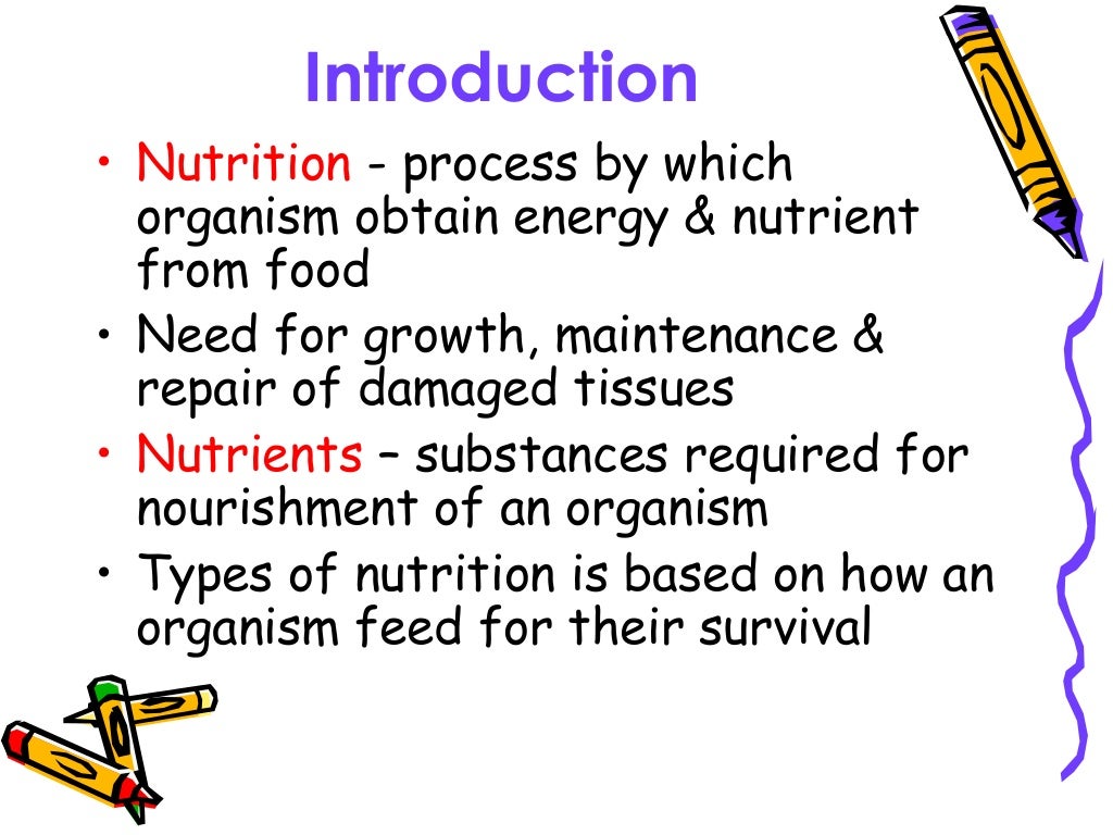 Chapter 6 nutrition