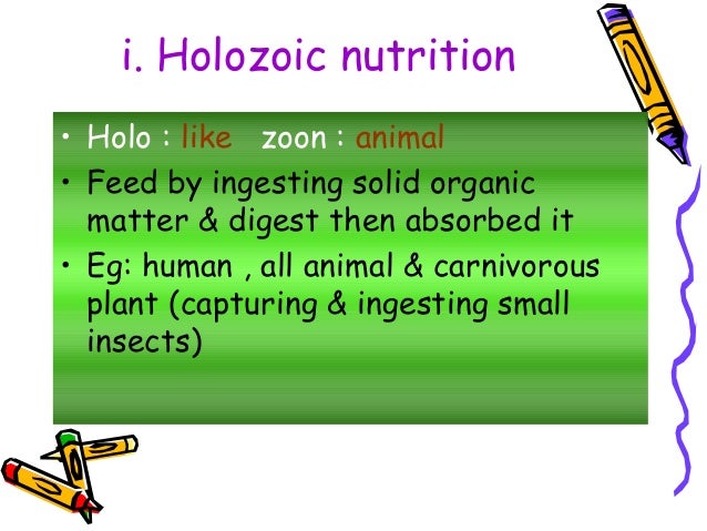 Fungi That Absorb Food From Decaying Organic Matter Are Fungi That Absorb Food From Decaying Organic Matter Are
