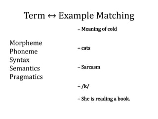 Chapter_6_Phonology lecture materiakls.pptx