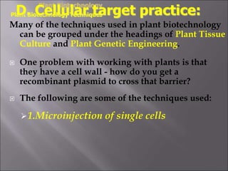Many of the techniques used in plant biotechnology
can be grouped under the headings of Plant Tissue
Culture and Plant Genetic Engineering.
 One problem with working with plants is that
they have a cell wall - how do you get a
recombinant plasmid to cross that barrier?
 The following are some of the techniques used:
1.Microinjection of single cells
Plant Biotechnology
Plant Biotechnology Techniques
D. Cellular target practice:
 