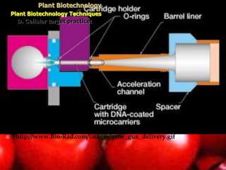  http://www.Bio-Rad.com/images/gene_gun_delivery.gif
Plant Biotechnology
Plant Biotechnology Techniques
D. Cellular target practice:
 