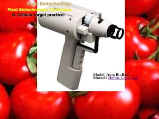  Model from BioRad:
Biorad's Helios Gene Gun
Plant Biotechnology
Plant Biotechnology Techniques
D. Cellular target practice:
 