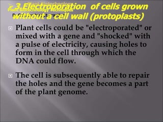  Plant cells could be "electroporated" or
mixed with a gene and "shocked" with
a pulse of electricity, causing holes to
form in the cell through which the
DNA could flow.
 The cell is subsequently able to repair
the holes and the gene becomes a part
of the plant genome.
Plant Biotechnology
Plant Biotechnology Techniques
D. Cellular target practice:
3.Electroporation of cells grown
without a cell wall (protoplasts)
 