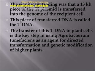  The significant finding was that a 13 kb
piece of the Ti plasmid is transferred
into the genome of the recipient cell.
 This piece of transferred DNA is called
the T DNA.
 The transfer of this T DNA to plant cells
is the key step in using Agrobacterium
tumefaciens as an agent for directed
transformation and genetic modification
of higher plants.
Plant Biotechnology
Plant Biotechnology Techniques
6. Leaf Fragment technique
 