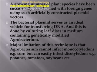  A growing number of plant species have been
successfully transformed with foreign genes
using such artificially constructed plasmid
vectors. .
 The bacterial plasmid serves as an ideal
vehicle for transferring DNA. And this is
done by culturing leaf discs in medium
containing genetically modified
Agrobacterium.
 Major limitation of this technique is that
Agrobacterium cannot infect monocotyledons
e.g. corn but can easily infect dicotyledons e.g.
potatoes, tomatoes, soybeans etc.
Plant Biotechnology
Plant Biotechnology Techniques
6. Leaf Fragment technique
 