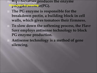  Ripe tomatoes produces the enzyme
polyglacturonase(PG).
 The PG enzyme is responsible for the
breakdown pectin, a building block in cell
walls, which gives tomatoes their firmness.
 To slow down the softening process, the Flavr
Savr employs antisense technology to block
PG enzyme production.
 Antisense technology is a method of gene
silencing.
Plant Biotechnology
Chloroplast Engineering:
 