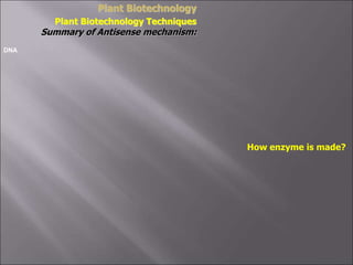 Plant Biotechnology
Plant Biotechnology Techniques
Summary of Antisense mechanism:
How enzyme is made?
DNA
 
