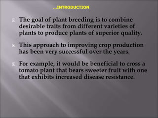  The goal of plant breeding is to combine
desirable traits from different varieties of
plants to produce plants of superior quality.
 This approach to improving crop production
has been very successful over the years.
 For example, it would be beneficial to cross a
tomato plant that bears sweeter fruit with one
that exhibits increased disease resistance.
…INTRODUCTION
 