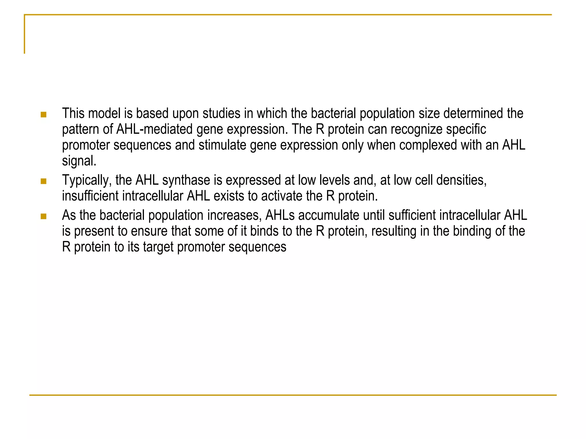  This model is based upon studies in which the bacterial population size determined the
pattern of AHL-mediated gene expression. The R protein can recognize specific
promoter sequences and stimulate gene expression only when complexed with an AHL
signal.
 Typically, the AHL synthase is expressed at low levels and, at low cell densities,
insufficient intracellular AHL exists to activate the R protein.
 As the bacterial population increases, AHLs accumulate until sufficient intracellular AHL
is present to ensure that some of it binds to the R protein, resulting in the binding of the
R protein to its target promoter sequences
 