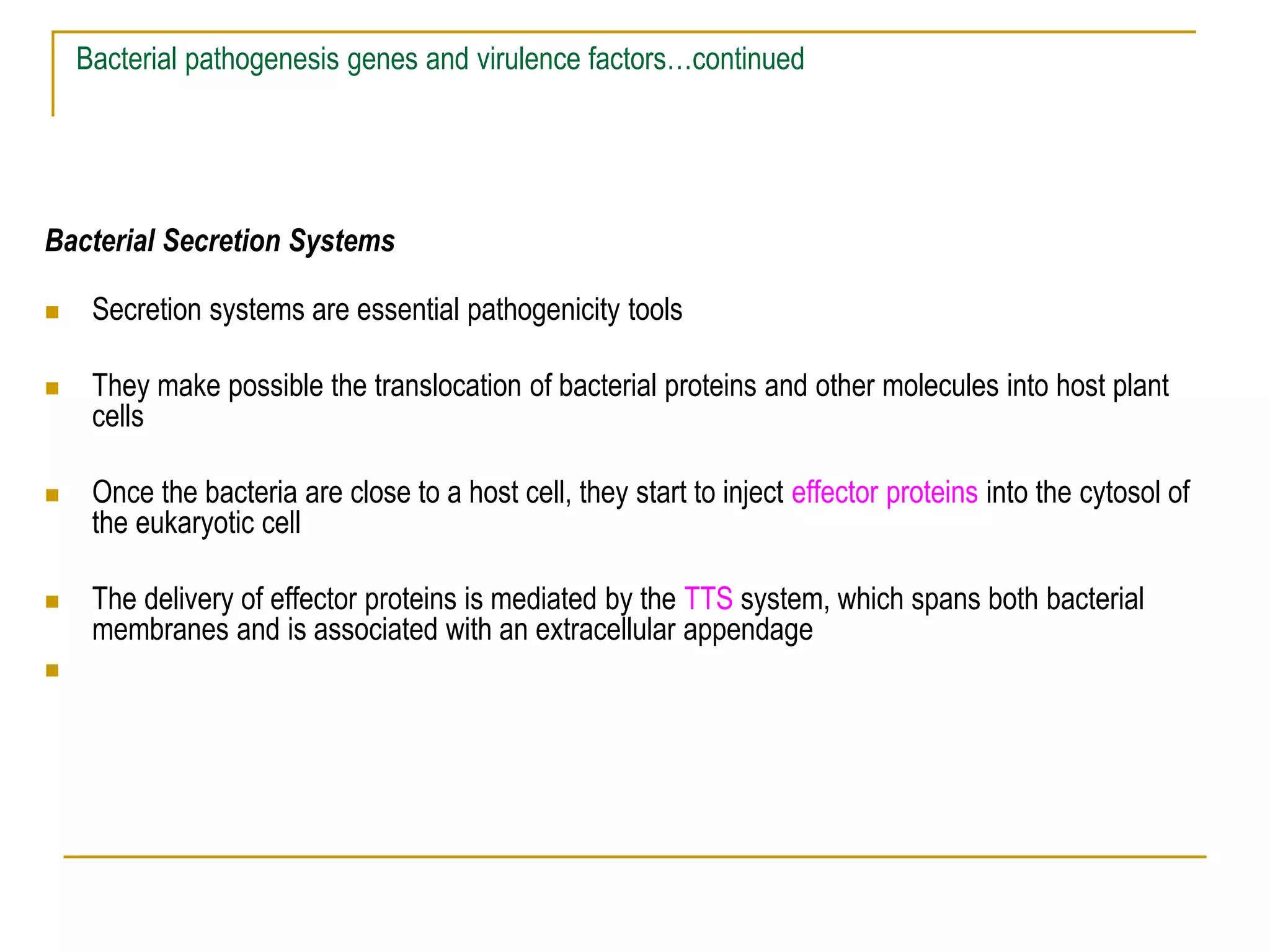 Bacterial pathogenesis genes and virulence factors…continued
Bacterial Secretion Systems
 Secretion systems are essential pathogenicity tools
 They make possible the translocation of bacterial proteins and other molecules into host plant
cells
 Once the bacteria are close to a host cell, they start to inject effector proteins into the cytosol of
the eukaryotic cell
 The delivery of effector proteins is mediated by the TTS system, which spans both bacterial
membranes and is associated with an extracellular appendage

 