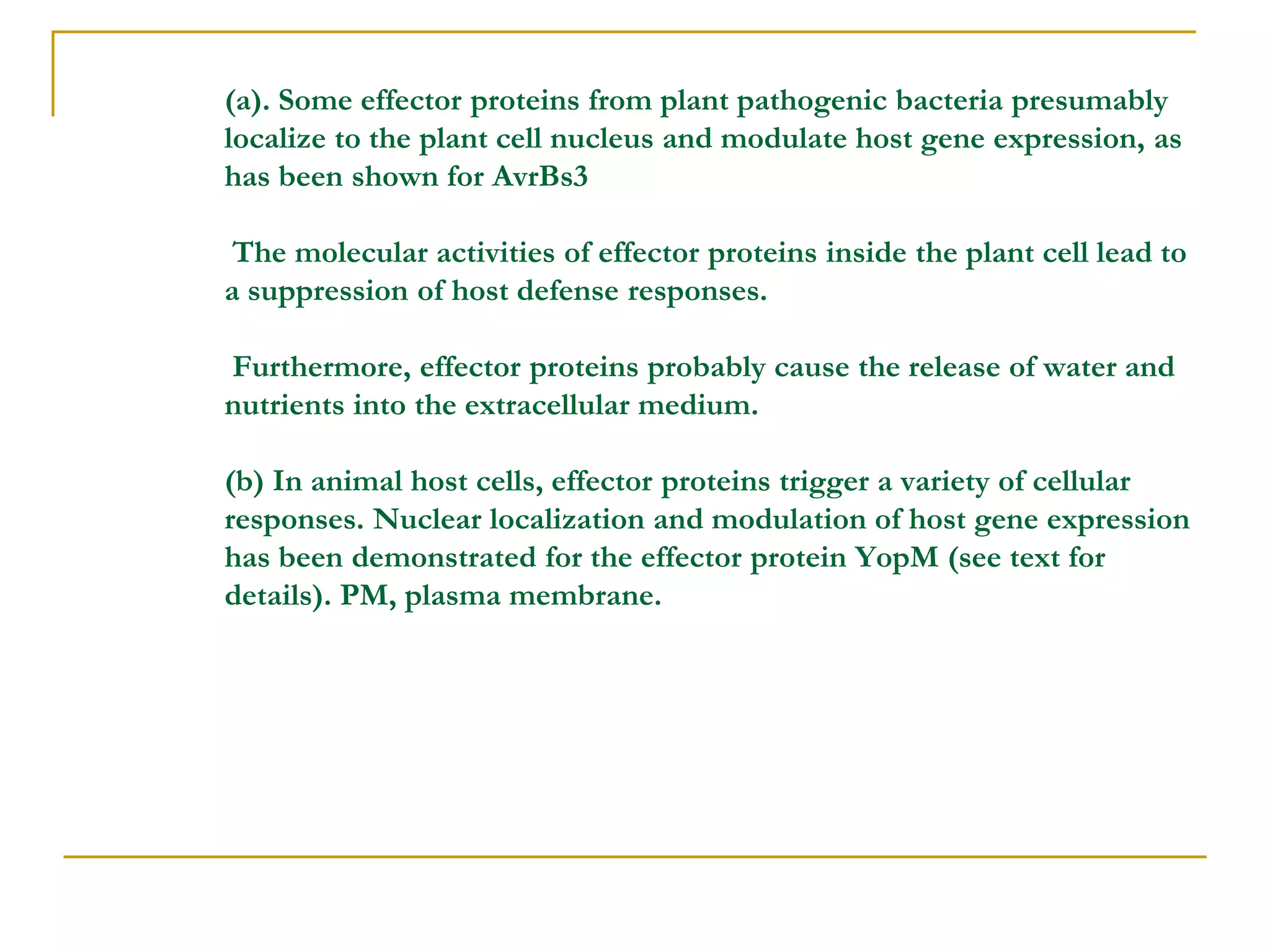 (a). Some effector proteins from plant pathogenic bacteria presumably
localize to the plant cell nucleus and modulate host gene expression, as
has been shown for AvrBs3
The molecular activities of effector proteins inside the plant cell lead to
a suppression of host defense responses.
Furthermore, effector proteins probably cause the release of water and
nutrients into the extracellular medium.
(b) In animal host cells, effector proteins trigger a variety of cellular
responses. Nuclear localization and modulation of host gene expression
has been demonstrated for the effector protein YopM (see text for
details). PM, plasma membrane.
 