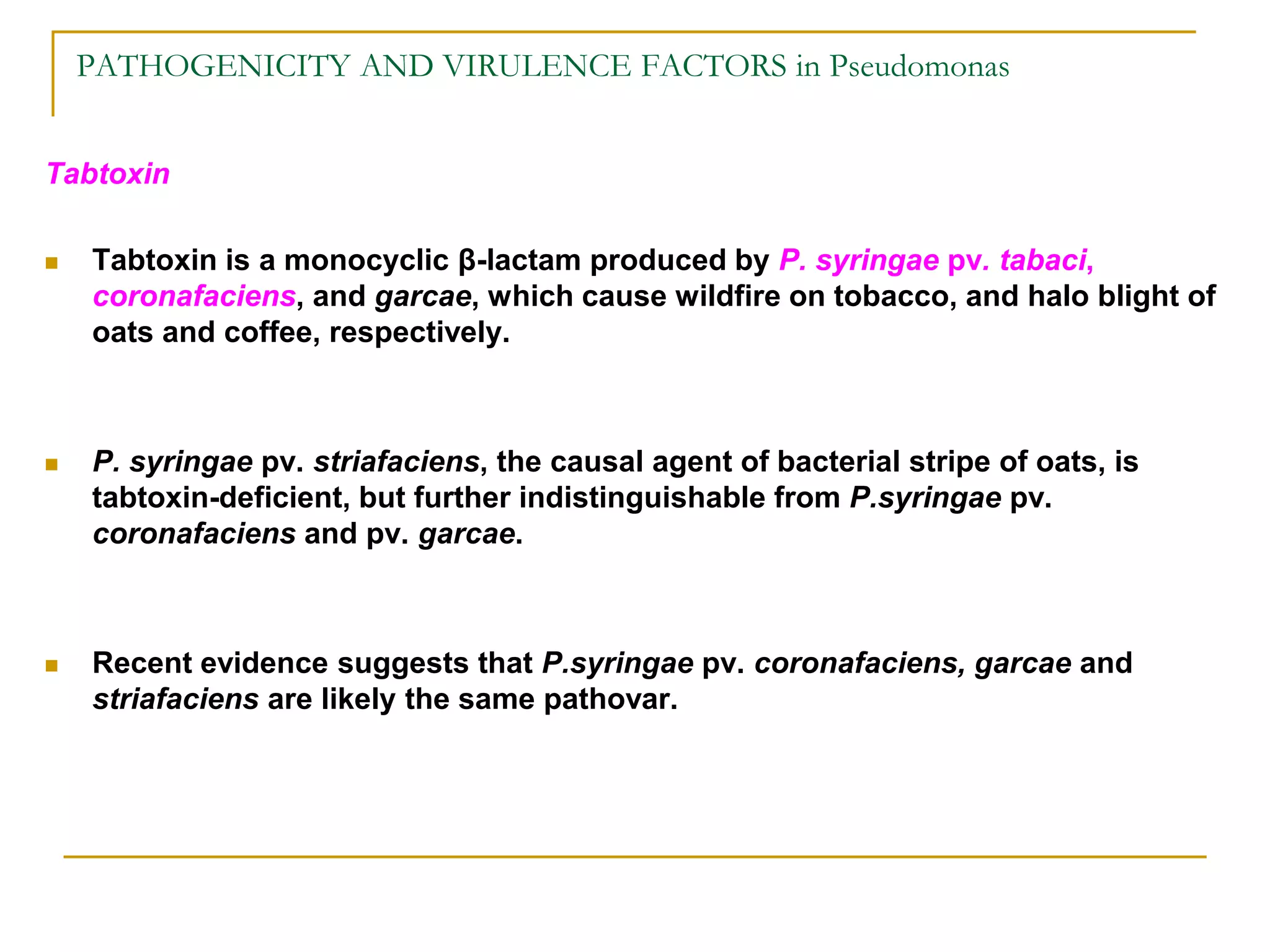 PATHOGENICITY AND VIRULENCE FACTORS in Pseudomonas
Tabtoxin
 Tabtoxin is a monocyclic β-lactam produced by P. syringae pv. tabaci,
coronafaciens, and garcae, which cause wildfire on tobacco, and halo blight of
oats and coffee, respectively.
 P. syringae pv. striafaciens, the causal agent of bacterial stripe of oats, is
tabtoxin-deficient, but further indistinguishable from P.syringae pv.
coronafaciens and pv. garcae.
 Recent evidence suggests that P.syringae pv. coronafaciens, garcae and
striafaciens are likely the same pathovar.
 