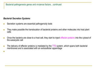 Pathogen Secretion Chapter_ 6 Plant pathogenic Bacteria_Pathogencity.ppt