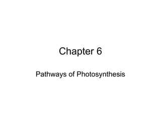 Chapter 6

Pathways of Photosynthesis
 