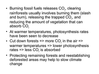 • Burning fossil fuels releases CO2, clearing
  rainforests usually involves burning them (slash
  and burn), releasing the trapped CO2, and
  reducing the amount of vegetation that can
  absorb CO2
• At warmer temperatures, photosynthesis rates
  have been seen to decrease
• Cut down forests => more CO2 in the air =>
  warmer temperatures => lower photosynthesis
  rates => less CO2 is absorbed
• Protecting remaining forests and reestablishing
  deforested areas may help to slow climate
  change
 