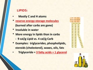 LIPIDS:
• Mostly C and H atoms
* reserve energy-storage molecules
(burned after carbs are gone)
* Insoluble in water
* More energy in lipids than in carbs
- 9 cal/g Lipid vs. 4 cal/g Carb
* Examples: triglycerides, phospholipids,
steroids (cholesterol), waxes, oils, fats
• Triglyceride = 3 fatty acids + 1 glycerol
 