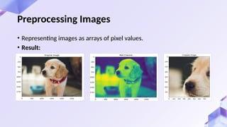 • Representing images as arrays of pixel values.
• Result:
Preprocessing Images
 