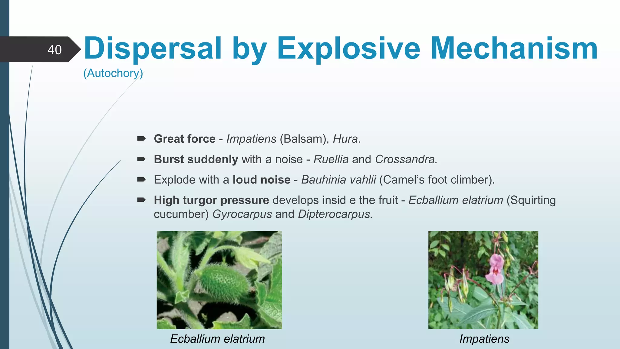 Chapter 6 principles of ecology | PPTX