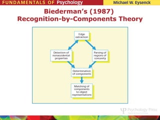 Biederman’s (1987)
Recognition-by-Components Theory
 