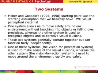 Two Systems
• Milner and Goodale’s (1995, 1998) starting point was the
  startling assumption that we basically have TWO visual
  perceptual systems!
• One system allows us to move safely around our
  environment without knocking into objects or falling over
  precipices, whereas the other system is used to
  recognize objects and to perceive visual illusions.
• These two systems generally operate together but can
  function fairly independently.
• One of these systems (the vision-for-perception system)
  is used to make sense of the visual illusions, whereas the
  other system (the vision-for-action system) is used to
  move around the environment rapidly and safely.
 