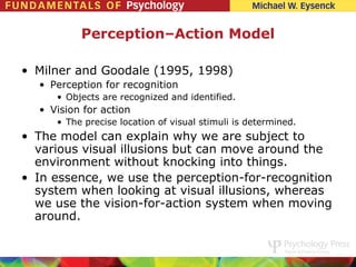 Perception–Action Model

• Milner and Goodale (1995, 1998)
  • Perception for recognition
     • Objects are recognized and identified.
  • Vision for action
     • The precise location of visual stimuli is determined.
• The model can explain why we are subject to
  various visual illusions but can move around the
  environment without knocking into things.
• In essence, we use the perception-for-recognition
  system when looking at visual illusions, whereas
  we use the vision-for-action system when moving
  around.
 
