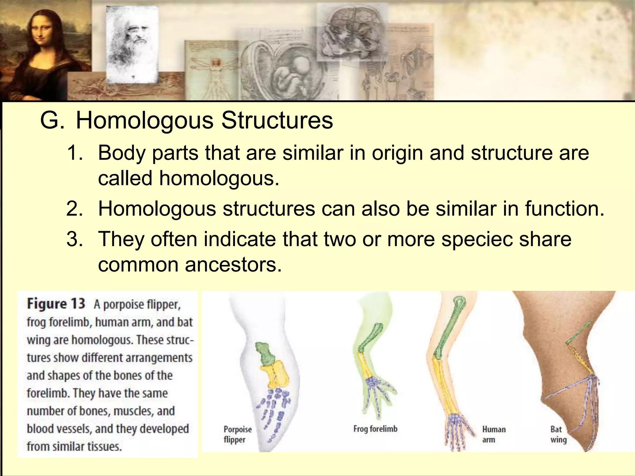 G. Homologous Structures
  1. Body parts that are similar in origin and structure are
     called homologous.
  2. Homologous structures can also be similar in function.
  3. They often indicate that two or more speciec share
     common ancestors.
 