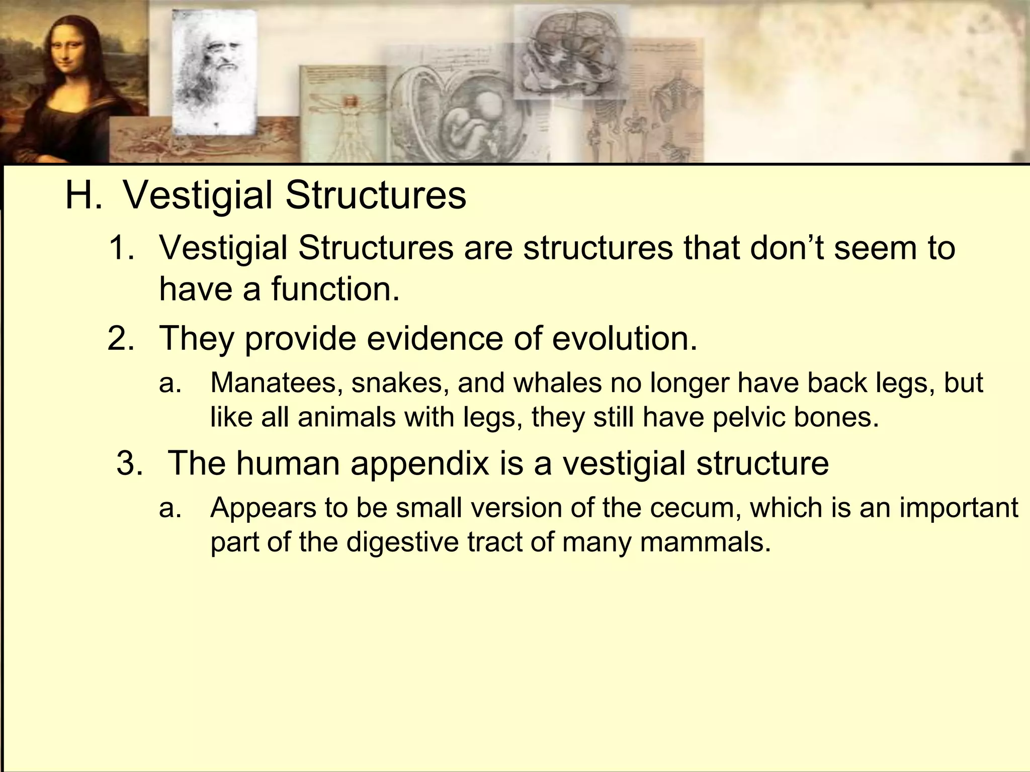 H. Vestigial Structures
  1. Vestigial Structures are structures that don’t seem to
     have a function.
  2. They provide evidence of evolution.
     a. Manatees, snakes, and whales no longer have back legs, but
        like all animals with legs, they still have pelvic bones.
  3. The human appendix is a vestigial structure
     a. Appears to be small version of the cecum, which is an important
        part of the digestive tract of many mammals.
 