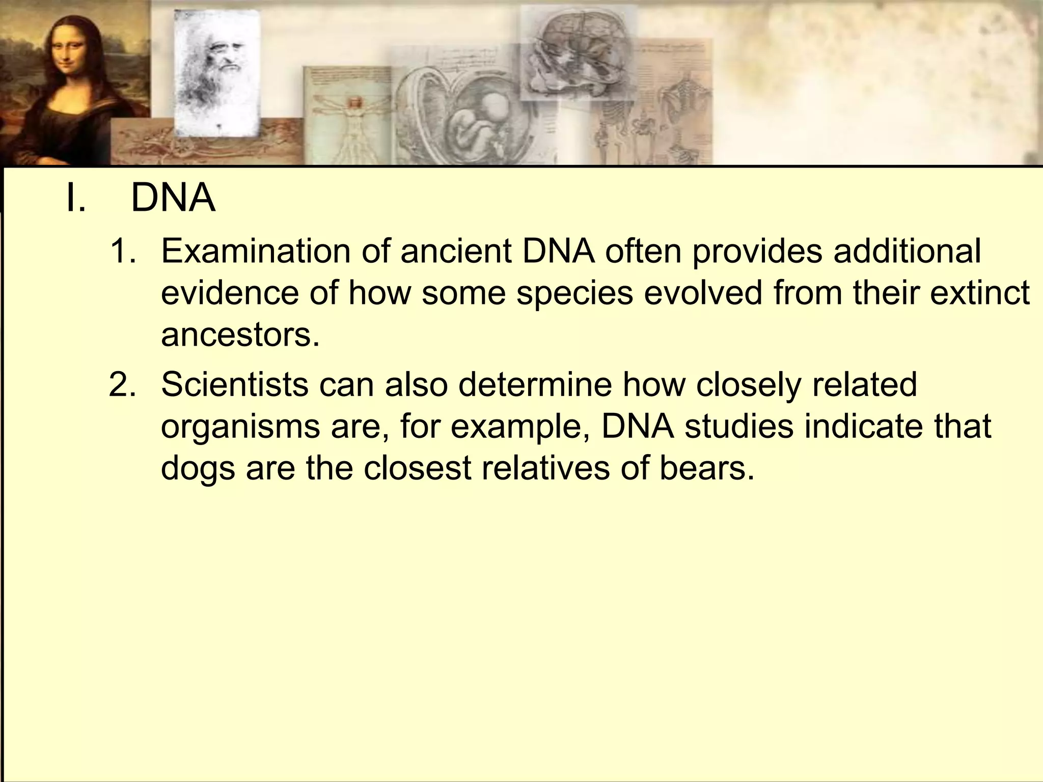 I.    DNA
     1. Examination of ancient DNA often provides additional
        evidence of how some species evolved from their extinct
        ancestors.
     2. Scientists can also determine how closely related
        organisms are, for example, DNA studies indicate that
        dogs are the closest relatives of bears.
 