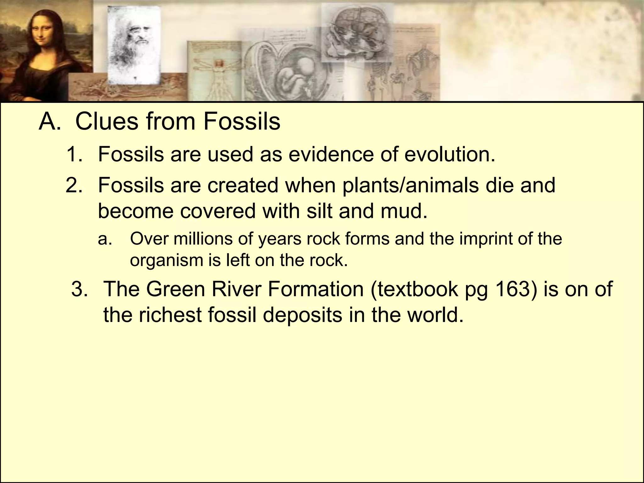 A. Clues from Fossils
  1. Fossils are used as evidence of evolution.
  2. Fossils are created when plants/animals die and
     become covered with silt and mud.
     a. Over millions of years rock forms and the imprint of the
        organism is left on the rock.
  3. The Green River Formation (textbook pg 163) is on of
     the richest fossil deposits in the world.
 