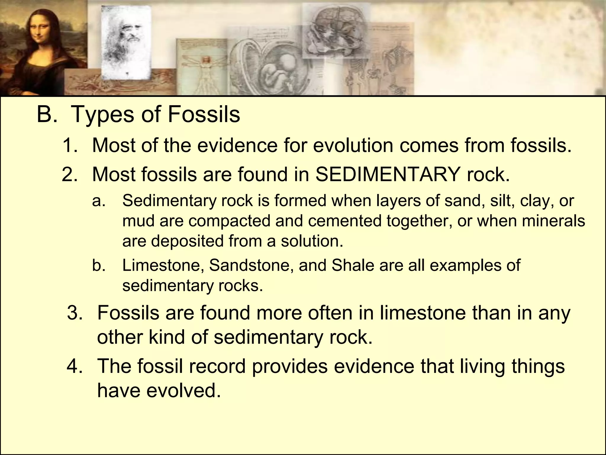 B. Types of Fossils
  1. Most of the evidence for evolution comes from fossils.
  2. Most fossils are found in SEDIMENTARY rock.
     a. Sedimentary rock is formed when layers of sand, silt, clay, or
        mud are compacted and cemented together, or when minerals
        are deposited from a solution.
     b. Limestone, Sandstone, and Shale are all examples of
        sedimentary rocks.
  3. Fossils are found more often in limestone than in any
     other kind of sedimentary rock.
  4. The fossil record provides evidence that living things
     have evolved.
 