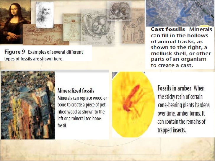 dating the fossil record lab answer key The absolute age of the fossil can be determined though radiometric dating and the fossil record use specific fossils from the chart to support your answer. dating the fossil record lab answer key The absolute age of the fossil can be determined though radiometric dating and the fossil record use specific fossils from the chart to support your answer.