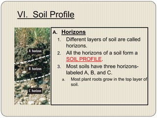 VI.  Soil Profile HorizonsDifferent layers of soil are called horizons. All the horizons of a soil form a SOIL PROFILE. Most soils have three horizons-labeled A, B, and C. Most plant roots grow in the top layer of soil. 