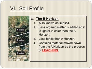 VI.  Soil Profile The B HorizonAlso known as subsoil. Less organic matter is added so it is lighter in color than the A Horizon. Less fertile than A Horizon. Contains material moved down from the A Horizon by the process of LEACHING.