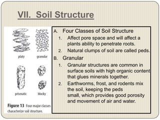 VII.  Soil StructureFour Classes of Soil Structure Affect pore space and will affect a plants ability to penetrate roots. Natural clumps of soil are called peds. GranularGranular structures are common in surface soils with high organic content that glues minerals together. Earthworms, frost, and rodents mix the soil, keeping the peds small, which provides good porosity and movement of air and water. 