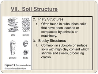 VII.  Soil StructurePlaty StructuresOften found in subsurface soils that have been leached or compacted by animals or machinery. Blocky StructuresCommon in sub-soils or surface soils with high clay content which shrinks and swells, producing cracks. 