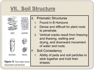 VII.  Soil StructurePrismatic StructuresFound in B HorizonsDense and difficult for plant roots to penetrate.Vertical cracks result from freezing and thawing, wetting and drying, and downward movement of water and roots. Soil ConsistencyAbility of peds and soil particles to stick together and hold their shapes. 