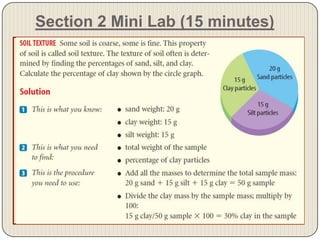 Section 2 Mini Lab (15 minutes)