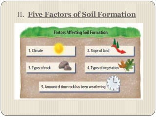 II.  Five Factors of Soil Formation
