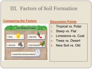 III.  Factors of Soil FormationComparing the FactorsDiscussion PointsTropical vs. PolarSteep vs. FlatLimestone vs. CoalTrees vs. DesertNew Soil vs. Old 
