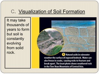 C.  Visualization of Soil FormationIt may take thousands of years to form but soil is constantly evolving from solid rock. 